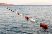 Load image into Gallery viewer, 11 - Bathing (6 points de prélèvement)*